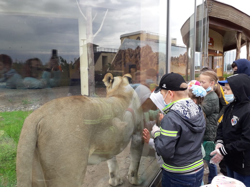 Новый казанский зоопарк